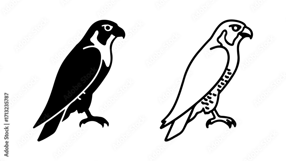 Fototapeta premium Set of two falcon icons one solid and one outline style.