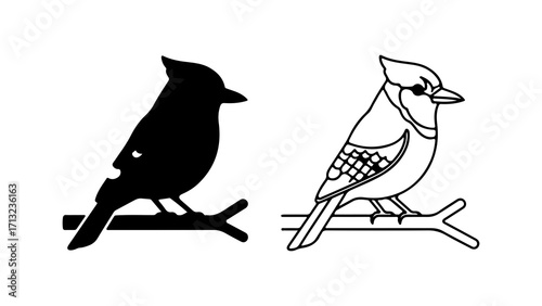 Silhouette and Line Art of a Blue Jay Perched on a Branch.