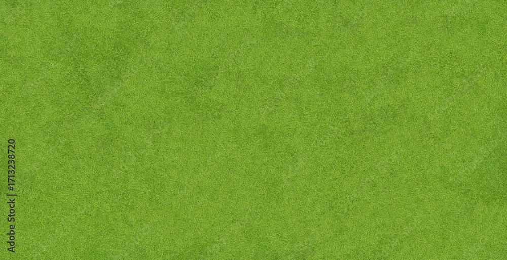 Fototapeta premium Lush green grass, top view. Banner design