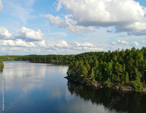 Serene lake vista with lush forests