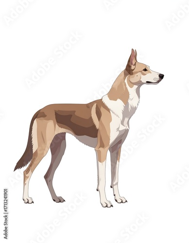 Side view of a dog, likely a Beauceron breed.  Colorfully detailed, standing