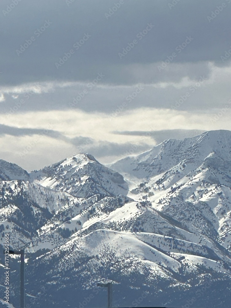 Naklejka premium snow covered mountains