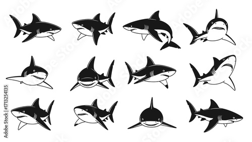 Majestic Ocean Predator Silhouette Collection Various Angles Isolated Transparent Background