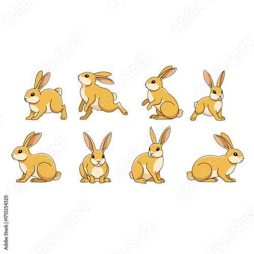 Diverse poses of cute golden brown hares with long ears isolated on transparent background