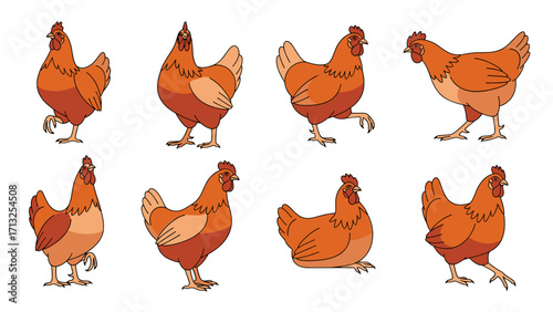 Brown Hen Chicken Farm Animal in Various Poses Isolated on Transparent Background