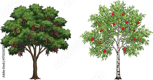 Chestnut tree with pods and apple tree with red fruits, summer garden illustration, nature design, botanical art, vector plant, fruit-bearing trees