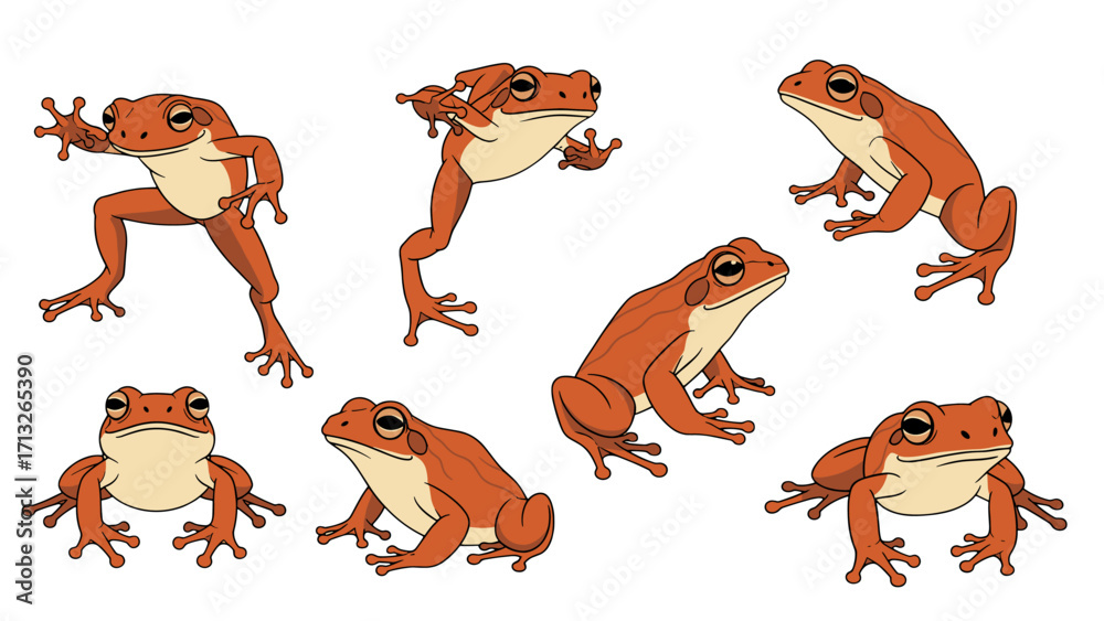Fototapeta premium Cute orange frogs set showing different poses and actions isolated on transparent background for playful amphibian wildlife illustrations