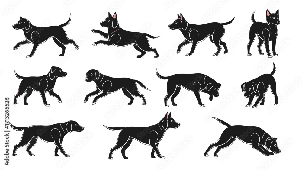 Fototapeta premium Black Labrador Dog Various Poses and Actions Isolated on Transparent Background Full Body Views