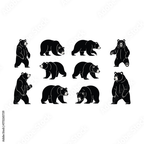 Dynamic Black Bear Poses Showing Strength and Agility Isolated on Transparent Background