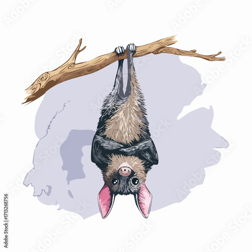 hanging bat graphite sketch with dusk purple watercolor glow for whimsical nocturnal art