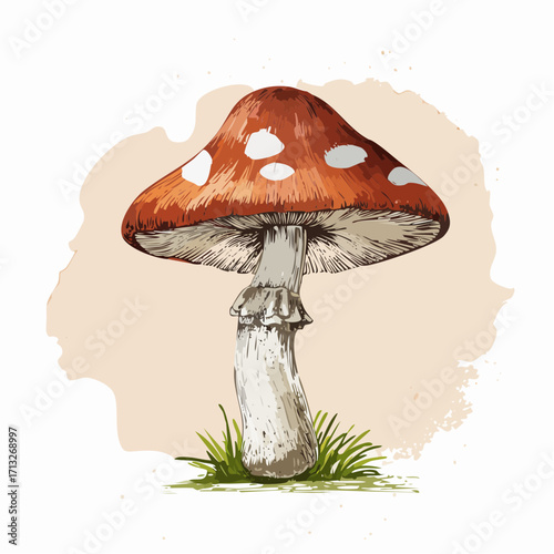 inverted mushroom graphite sketch with earthy brown watercolor wash for whimsical botanical art