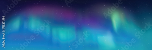 Polar lights, aurora borealis, starry sky, northern landscapes, vector illustration