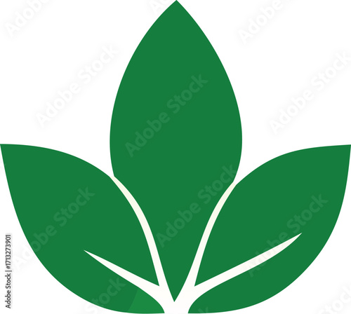 Vibrant green leaf motif symbolizing growth nature ecology and natural health and wellness solutions