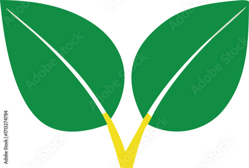 Vibrant green leaves emerging symbolizing growth new beginnings and natural beauty spring plant life freshness