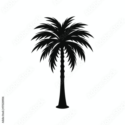 palm tree silhouette
