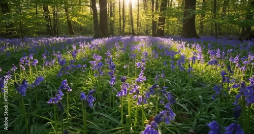 Serene bluebell forest at sunrise with soft light