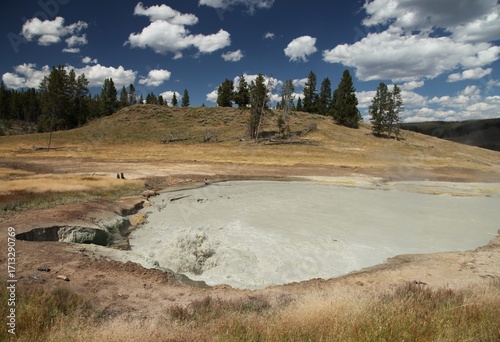 Churning Caldron along Mud Volcano Trail in Yellowstone National Park, Wyoming