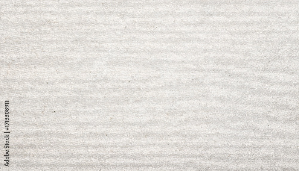 Obraz premium White Craft Paper Texture Rustic Vintage Background