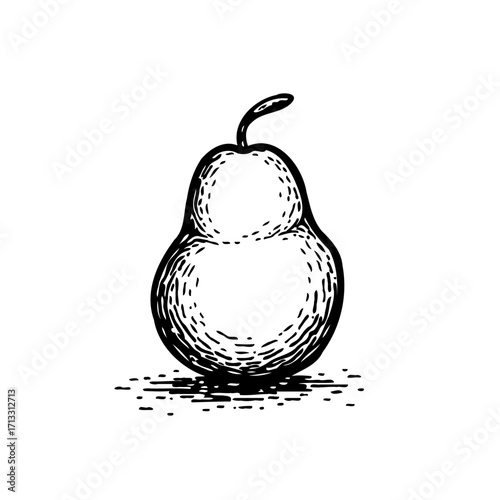 Elegant hand sketched pear illustration offering a touch of rustic charm and wholesome goodness