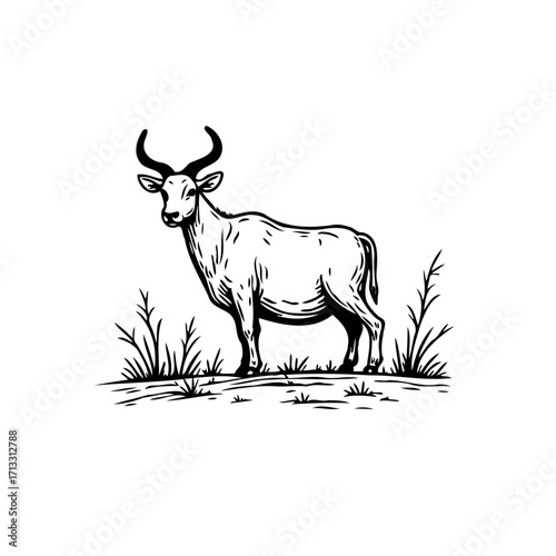 Elegant linework depiction of a horned ungulate standing amidst stylized grasses in a minimal