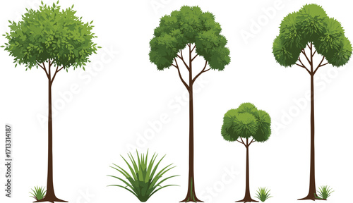 Collection of various green trees and plants, natural landscape vector illustration, decorative ecology elements for forest environment and garden design.