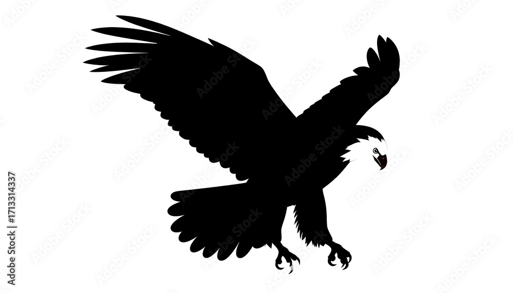 Naklejka premium Silhouette of a soaring eagle