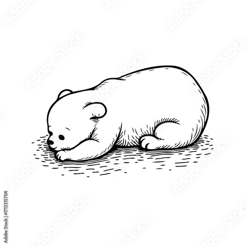 Gentle slumber of a bear cub rests quietly in monochrome artistic drawing concept illustrating