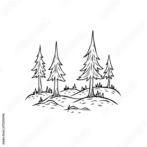 Hand drawn illustration of a coniferous forest on a snow covered landscape conveys winter solitude