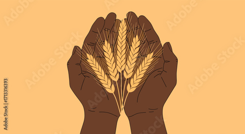 A close up shot of dark hands holding wheat stalks in the palm of their hands.