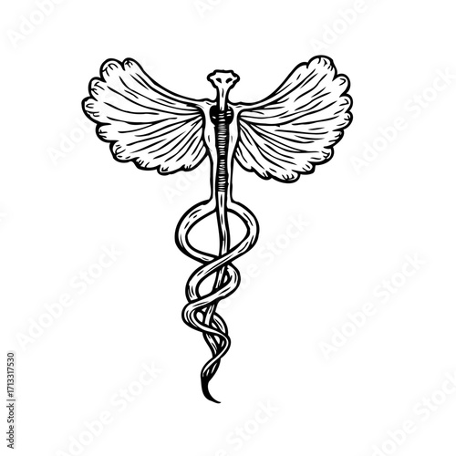 Intricate caduceus symbol artistic representation health and medicine professional services vector