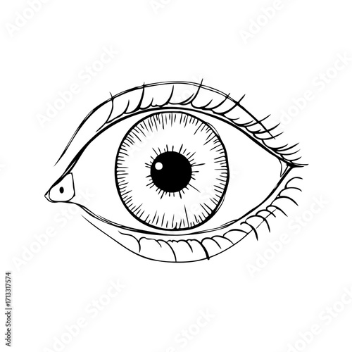 Intricate eye illustration showcasing artistic vision creative rendition of human sight and