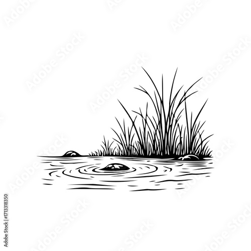 Minimalist pond scene with reeds illustration showcases nature's calmness in a detailed hand