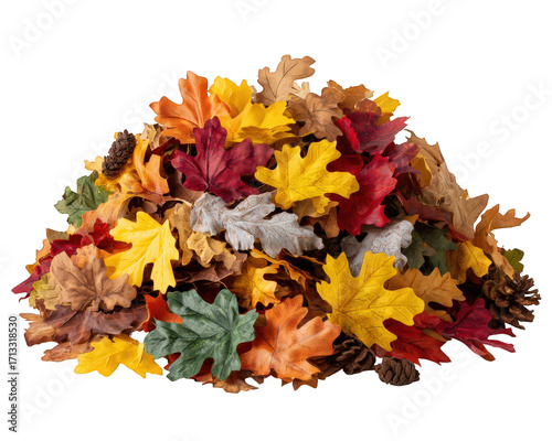 Colorful bundle of autumn leaf foliage on transparent background. This vibrant seasonal decor element evokes warm feeling of fall with its red and yellow leaves