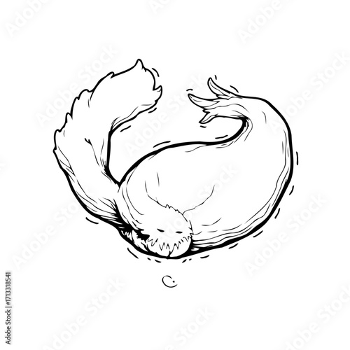 Monochromatic illustration of a resting seal portraying peace and serenity with bold outline