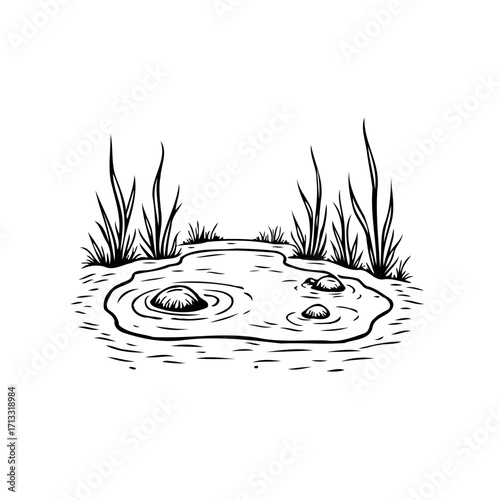 Monochrome drawing presents a still pond surrounded by vegetation with reflective surfaces in the