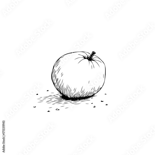 Monochrome hand-drawn illustration of a single apple showing artistic shading on a white