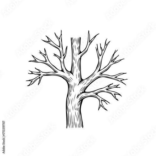 Monochrome sketch of a bare tree with intricate branches against a clean white backdrop creating