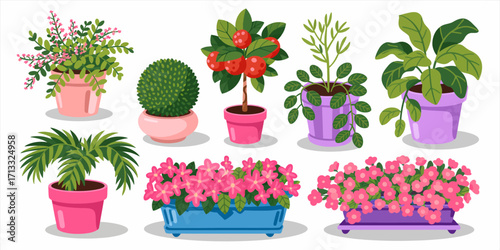 A vibrant display of various potted plants and flowers, showcasing a delightful assortment of greenery and blooms in colorful pots that enhance any space aesthetic.