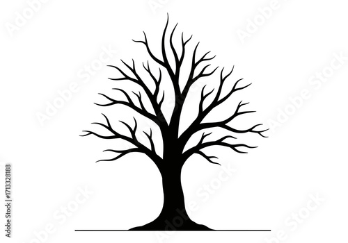 Black silhouette of a bare deciduous tree against a white background