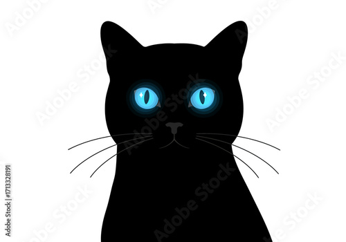 Black cat with striking blue eyes on a white background