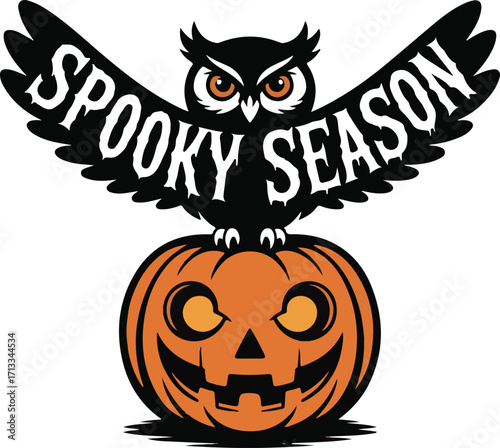 Halloween owl on pumpkin silhouette vector