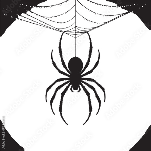 Halloween spider hanging from web silhouette vector