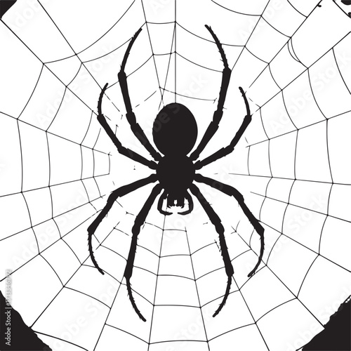 Halloween spider hanging from web silhouette vector