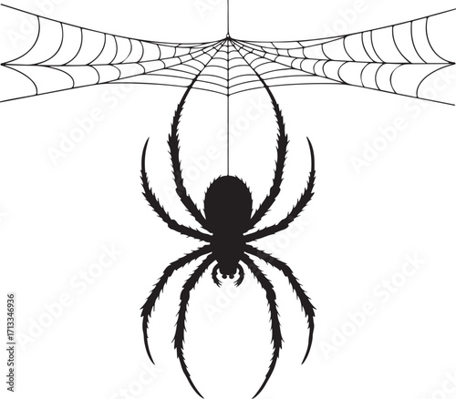 Halloween spider hanging from web silhouette vector