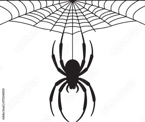Halloween spider hanging from web silhouette vector