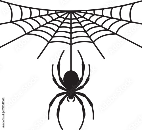 Halloween spider hanging from web silhouette vector
