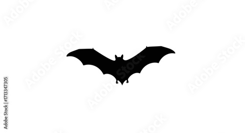 Bat Silhouette Dark Night Creature Vector Illustration