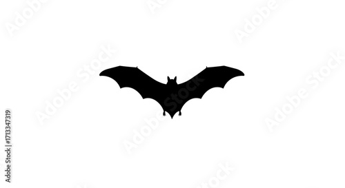 Bat Silhouette A Spooky Night Flyer Image for Halloween decorations and eerie aesthetics