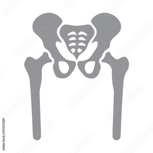 Human Pelvis Icon