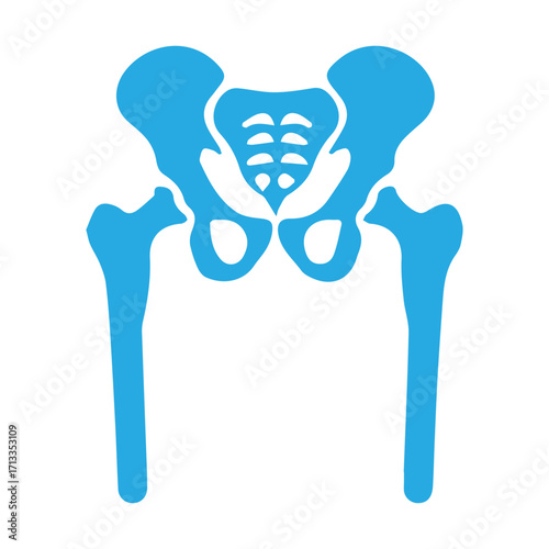 Human Pelvis Anatomy Icon